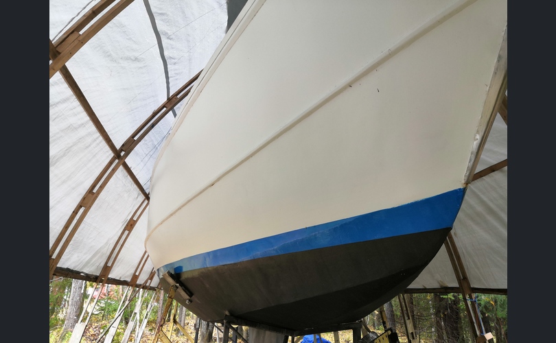 Van De Stadt 30 Vita Purjevene-kuva-5